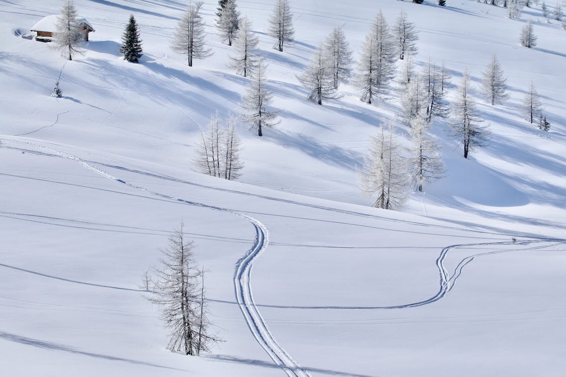 Snowy Ski Tracks